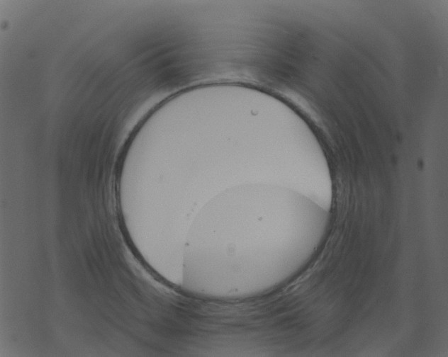 X0000073461468200608251719