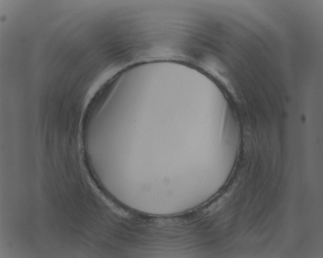 X0000073461469200608251719