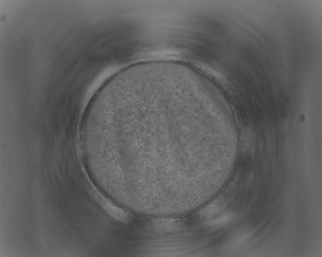 X0000073461470200608251719