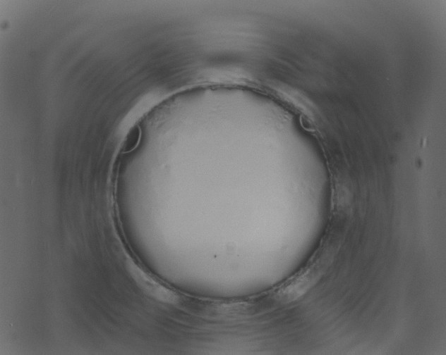 X0000073461471200608251719