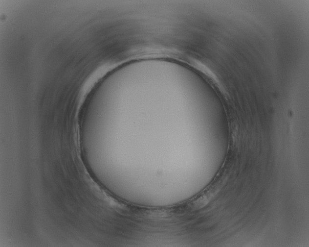 X0000073461472200608251719