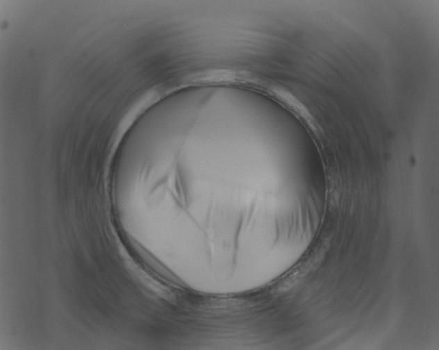 X0000073461475200608251719