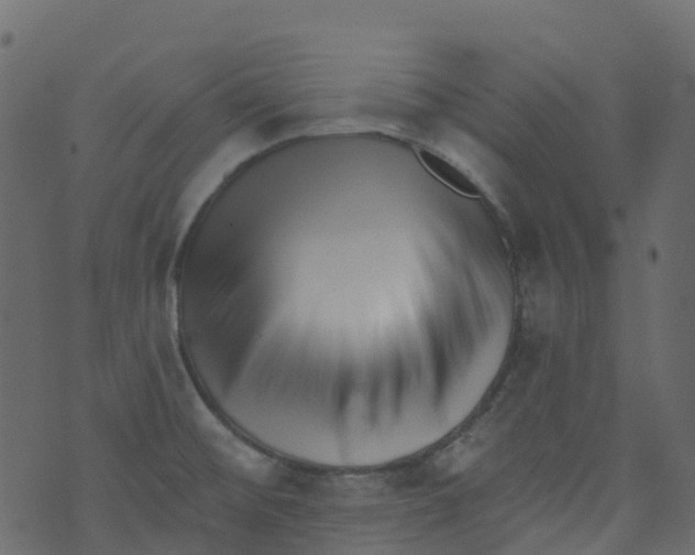 X0000073461476200608251719