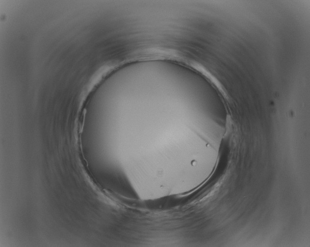 X0000073461477200608251719