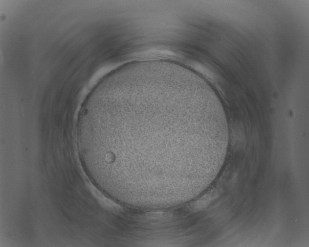 X0000073461478200608251719