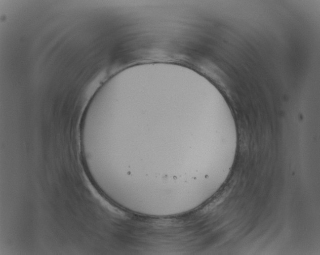 X0000073461479200608251719