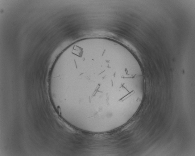 X0000073461480200608251719