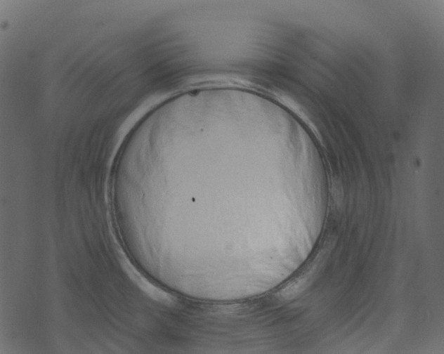 X0000073461482200608251719