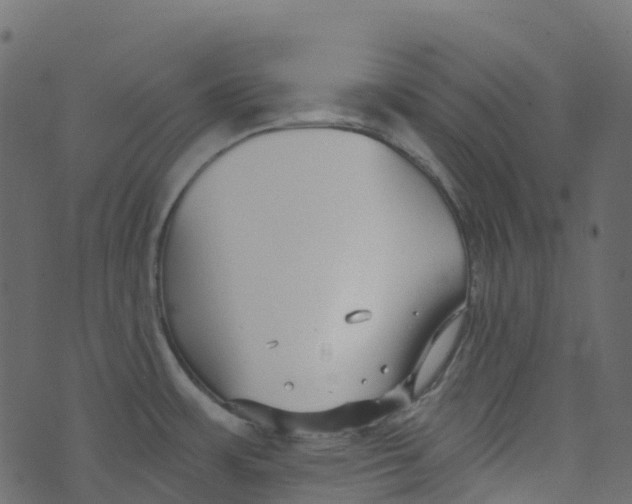 X0000073461483200608251719