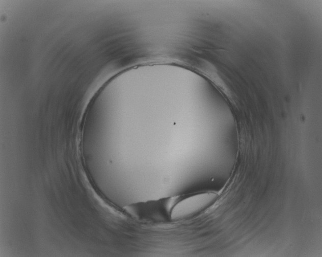 X0000073461484200608251719