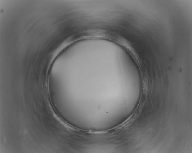 X0000073461487200608251719