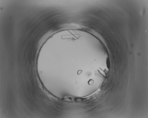 X0000073461488200608251719