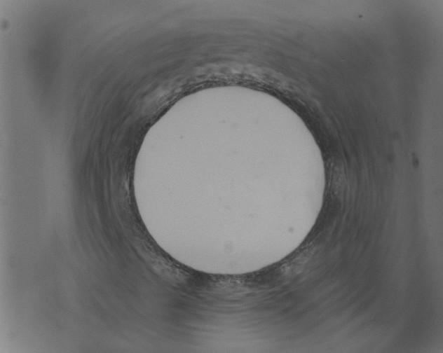 X0000073461489200608251718