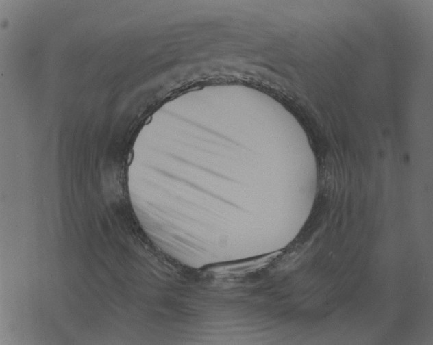 X0000073461490200608251718