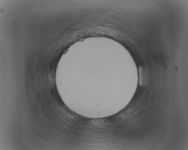 X0000073461491200608251718