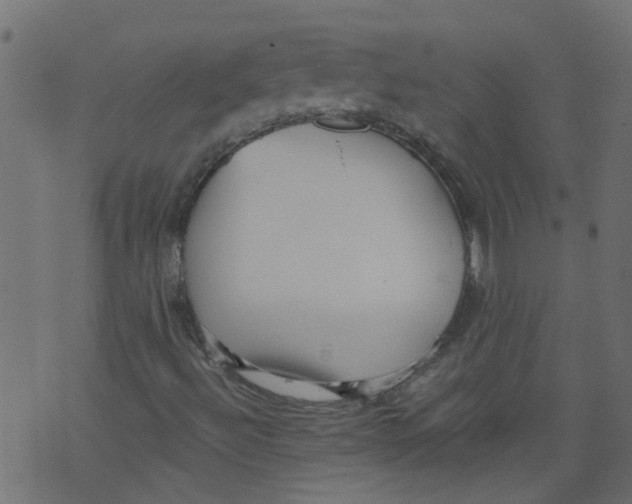 X0000073461492200608251718