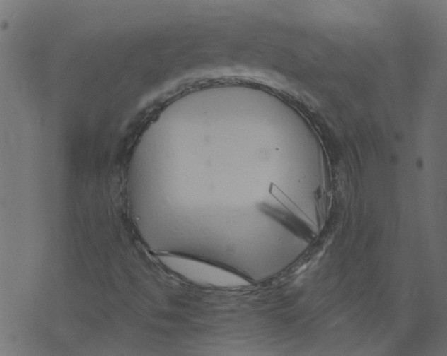 X0000073461494200608251718