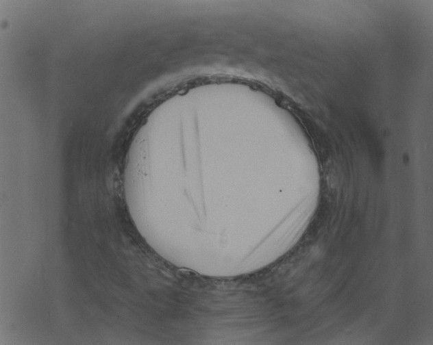 X0000073461495200608251718