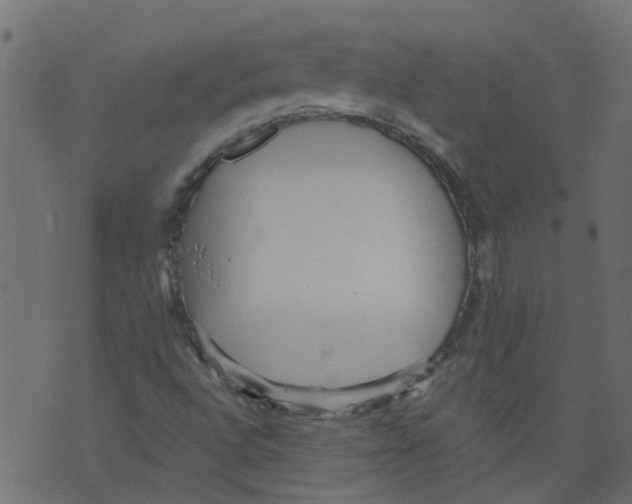 X0000073461496200608251718