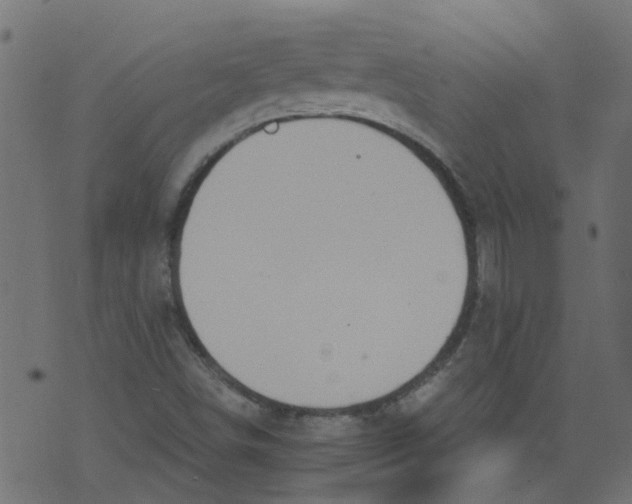 X0000073461498200608251718