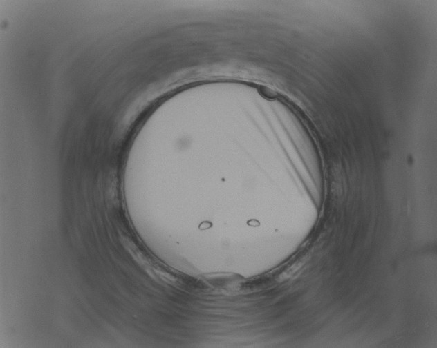 X0000073461499200608251718