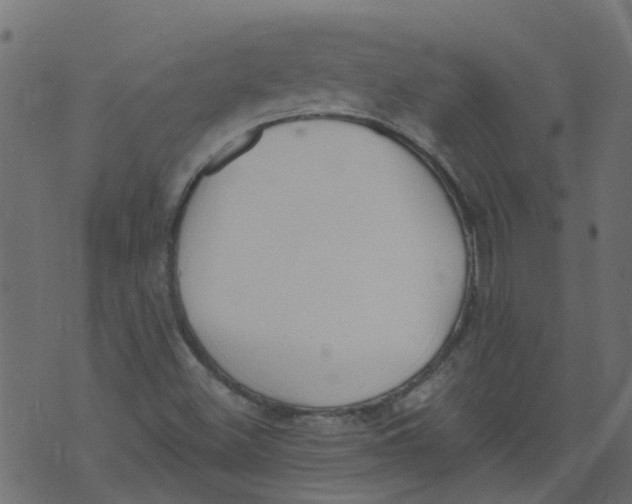 X0000073461500200608251718