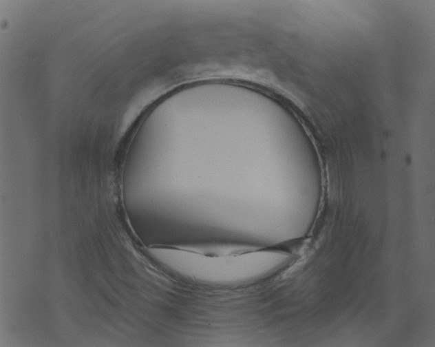 X0000073461501200608251718