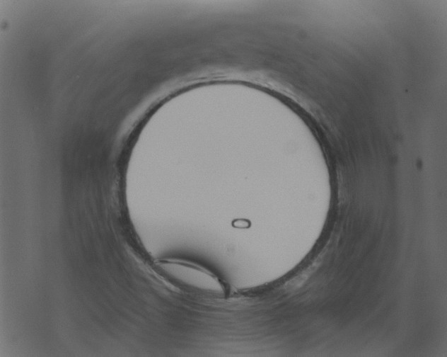 X0000073461502200608251718