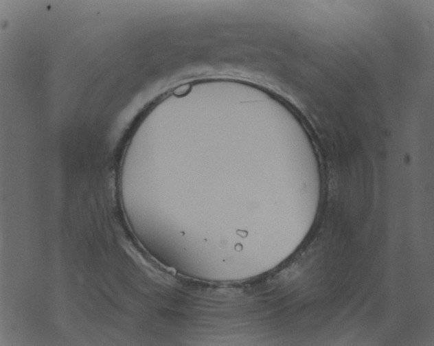 X0000073461503200608251718