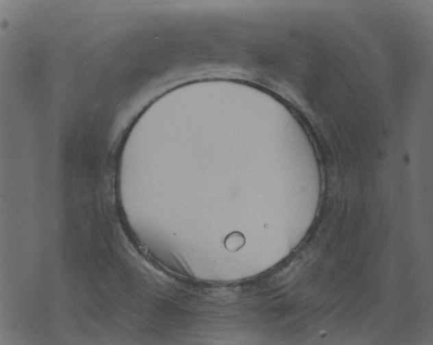 X0000073461504200608251718