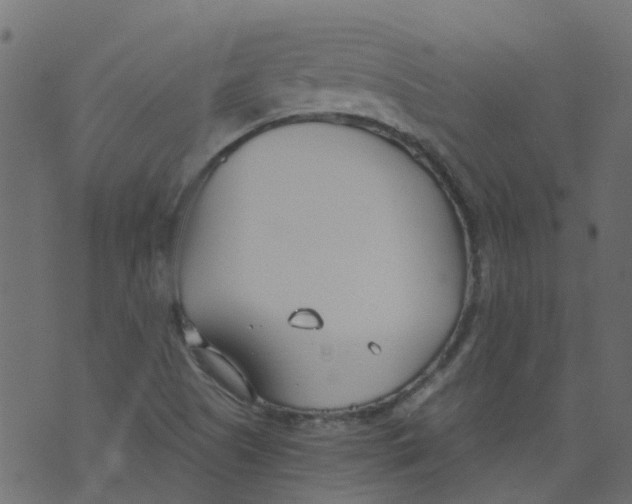 X0000073461505200608251718