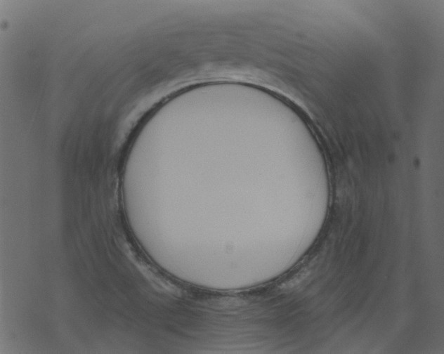 X0000073461507200608251718