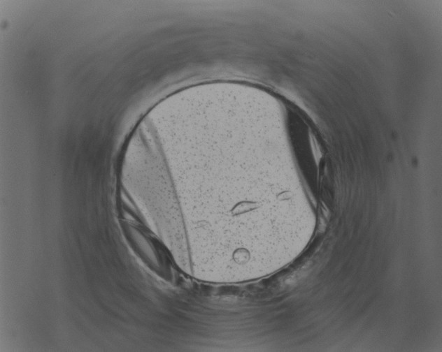 X0000073461508200608251718