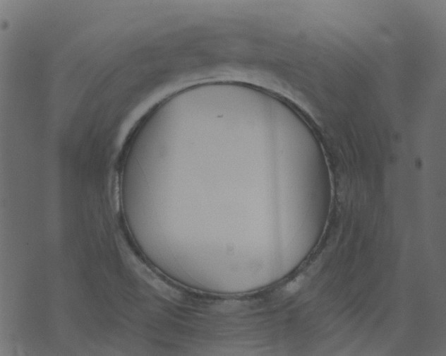 X0000073461510200608251718