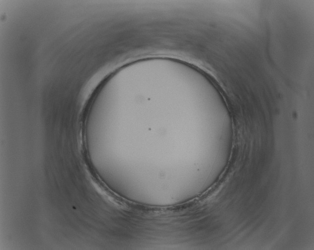 X0000073461511200608251718