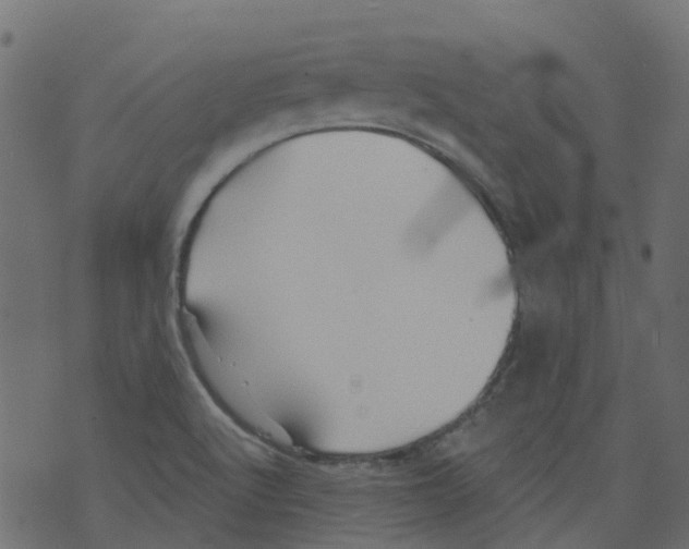 X0000073461512200608251718