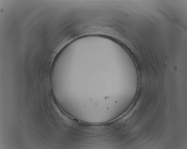 X0000073461513200608251718