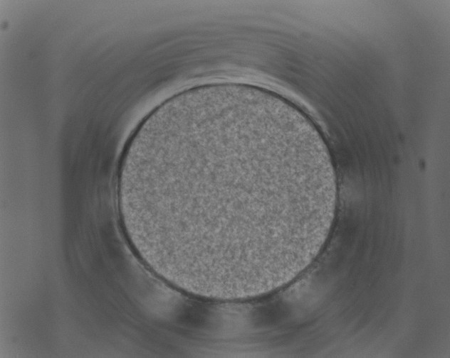 X0000073461514200608251718