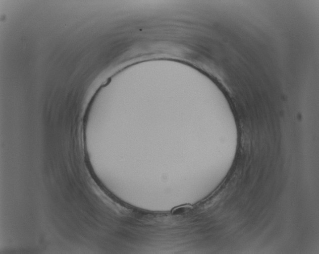 X0000073461516200608251718