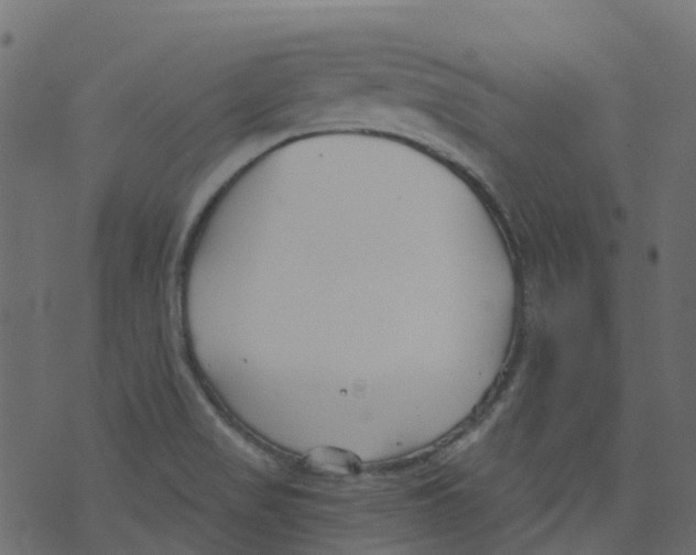 X0000073461517200608251719