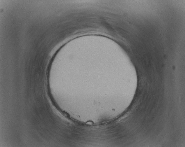 X0000073461518200608251719