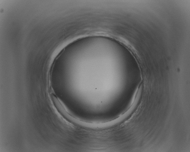 X0000073461520200608251719