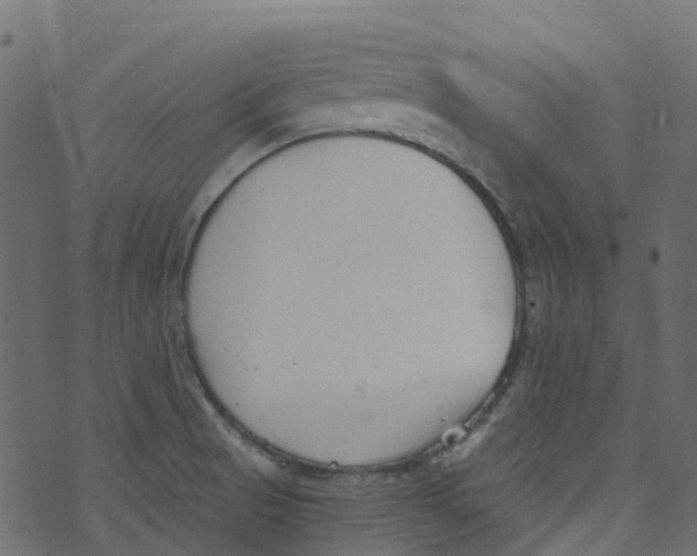 X0000073461521200608251719