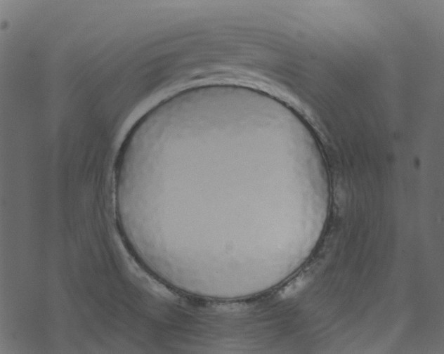 X0000073461522200608251719