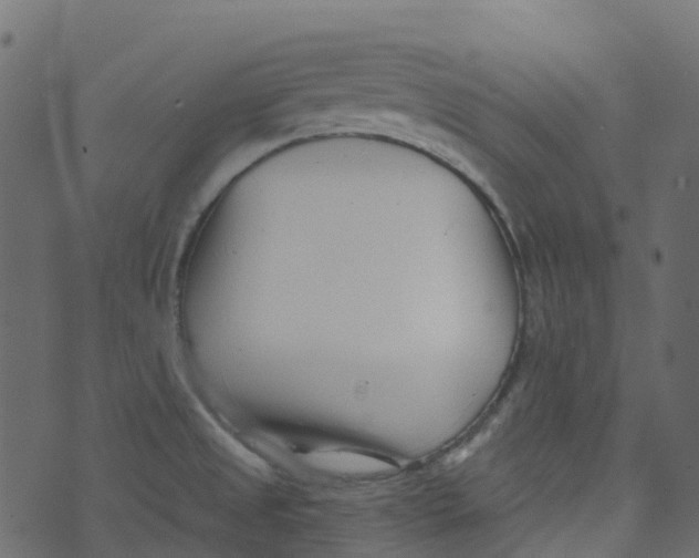 X0000073461525200608251719