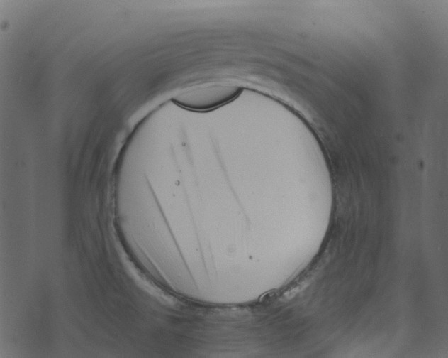 X0000073461526200608251719