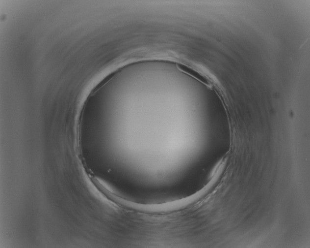 X0000073461528200608251719