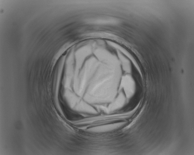 X0000073461529200608251719