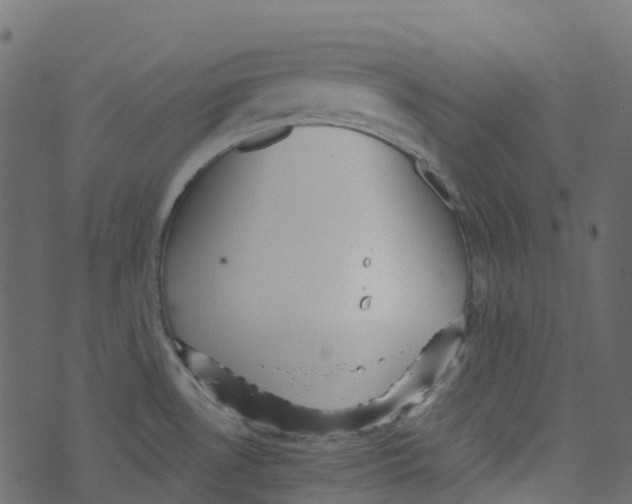 X0000073461530200608251719