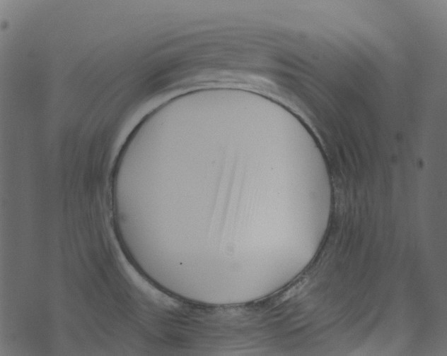 X0000073461531200608251719